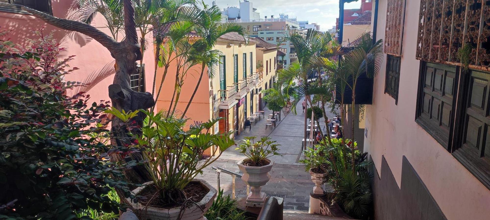 Brisa Del Sol Lägenhet Puerto de la Cruz  Exteriör bild